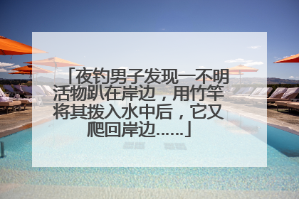 夜钓男子发现一不明活物趴在岸边，用竹竿将其拨入水中后，它又爬回岸边……