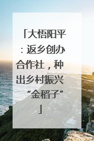 大悟阳平：返乡创办合作社，种出乡村振兴“金稻子”