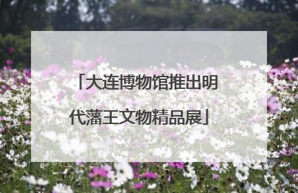 大连博物馆推出明代藩王文物精品展