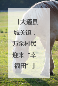 大通县城关镇：万余村民迎来“幸福田”