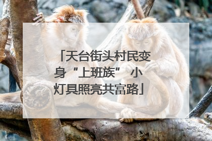 天台街头村民变身“上班族” 小灯具照亮共富路