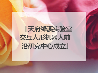 天府绛溪实验室交互人形机器人前沿研究中心成立