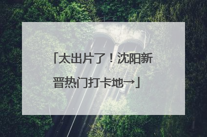 太出片了！沈阳新晋热门打卡地→