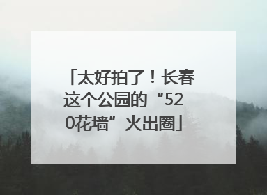 太好拍了！长春这个公园的“520花墙”火出圈