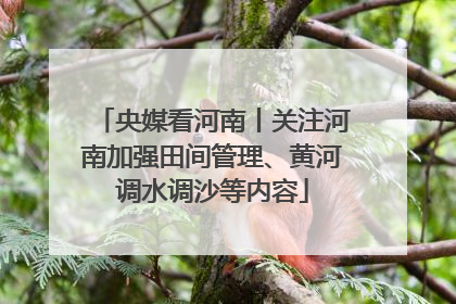 央媒看河南丨关注河南加强田间管理、黄河调水调沙等内容