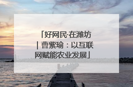 好网民·在潍坊｜曹紫瑜：以互联网赋能农业发展