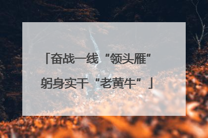 奋战一线“领头雁” 躬身实干“老黄牛”