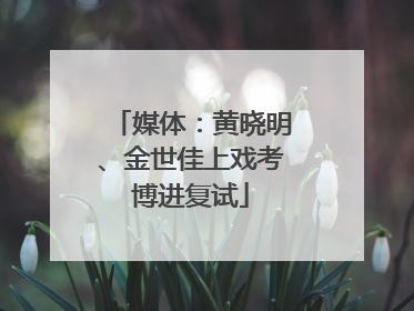 媒体：黄晓明、金世佳上戏考博进复试