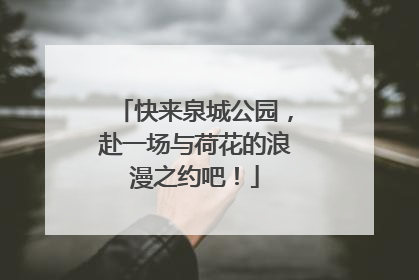 快来泉城公园，赴一场与荷花的浪漫之约吧！