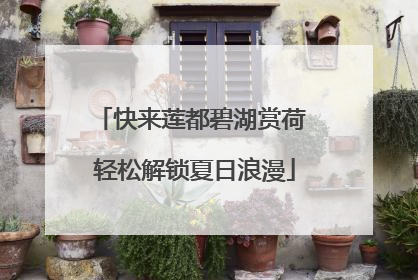 快来莲都碧湖赏荷 轻松解锁夏日浪漫