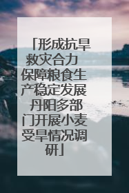 形成抗旱救灾合力 保障粮食生产稳定发展 丹阳多部门开展小麦受旱情况调研
