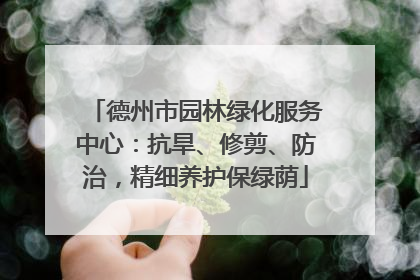 德州市园林绿化服务中心：抗旱、修剪、防治，精细养护保绿荫