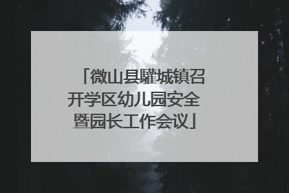 微山县驩城镇召开学区幼儿园安全暨园长工作会议
