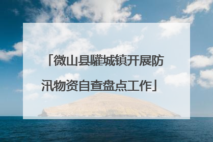 微山县驩城镇开展防汛物资自查盘点工作