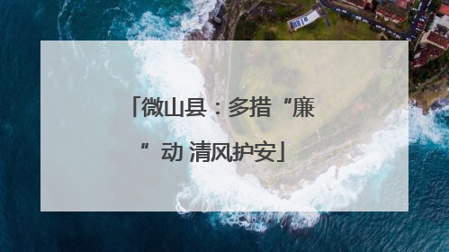 微山县：多措“廉”动 清风护安