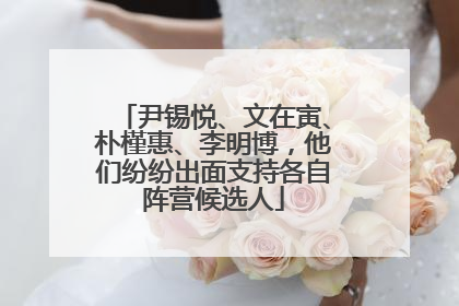 尹锡悦、文在寅、朴槿惠、李明博，他们纷纷出面支持各自阵营候选人