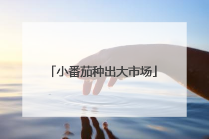 小番茄种出大市场