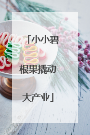 小小碧根果撬动大产业