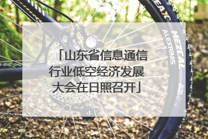 山东省信息通信行业低空经济发展大会在日照召开