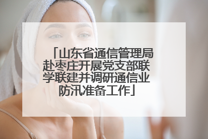 山东省通信管理局赴枣庄开展党支部联学联建并调研通信业防汛准备工作