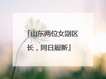 山东两位女副区长，同日履新