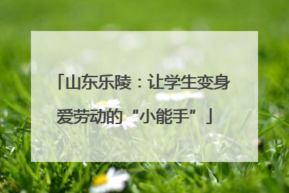 山东乐陵：让学生变身爱劳动的“小能手”