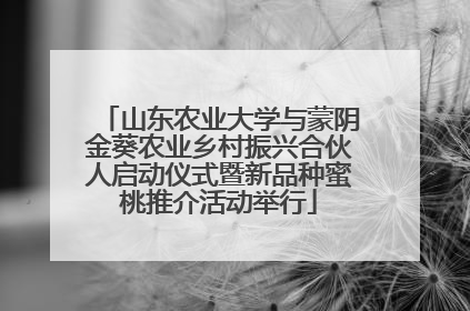 山东农业大学与蒙阴金葵农业乡村振兴合伙人启动仪式暨新品种蜜桃推介活动举行