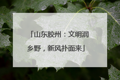 山东胶州：文明润乡野，新风扑面来
