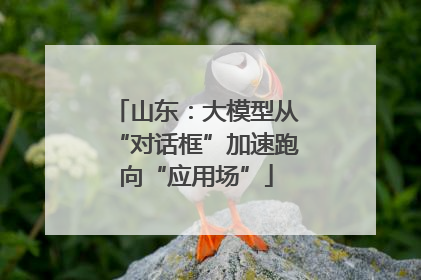 山东：大模型从“对话框”加速跑向“应用场”