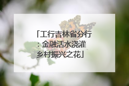 工行吉林省分行：金融活水浇灌 乡村振兴之花