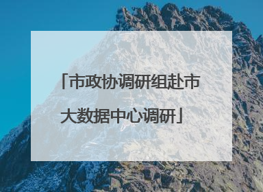 市政协调研组赴市大数据中心调研