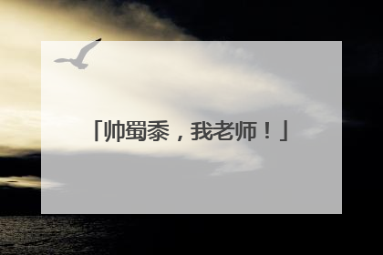 帅蜀黍，我老师！