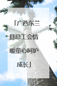 广西东兰县总工会情暖童心呵护成长