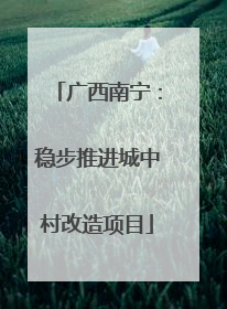广西南宁：稳步推进城中村改造项目