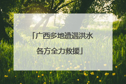 广西多地遭遇洪水 各方全力救援
