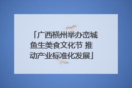广西横州举办峦城鱼生美食文化节 推动产业标准化发展