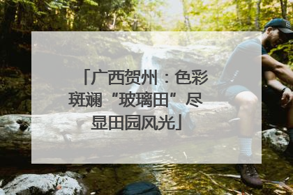 广西贺州：色彩斑斓“玻璃田”尽显田园风光