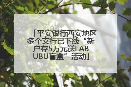平安银行西安地区多个支行已下线“新户存5万元送LABUBU盲盒”活动