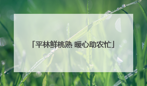 平林鲜桃熟 暖心助农忙