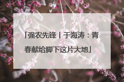 强农先锋丨于海涛：青春献给脚下这片大地
