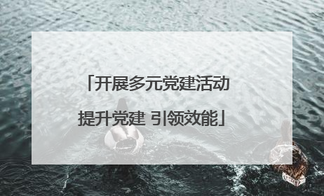 开展多元党建活动 提升党建 引领效能