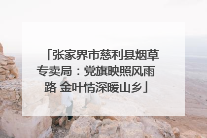 张家界市慈利县烟草专卖局：党旗映照风雨路 金叶情深暖山乡