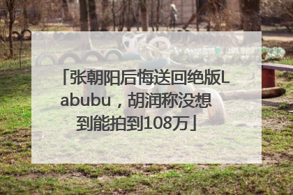 张朝阳后悔送回绝版Labubu，胡润称没想到能拍到108万