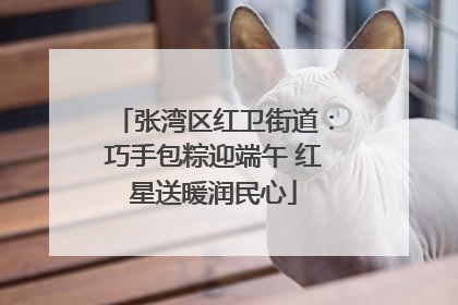 张湾区红卫街道：巧手包粽迎端午 红星送暖润民心