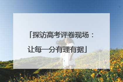 探访高考评卷现场：让每一分有理有据