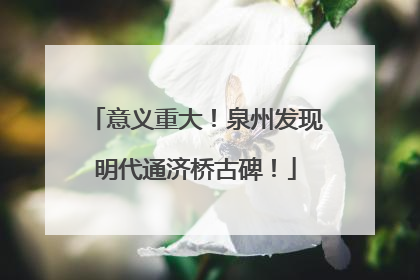 意义重大！泉州发现明代通济桥古碑！