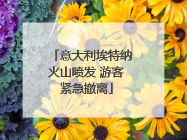 意大利埃特纳火山喷发 游客紧急撤离