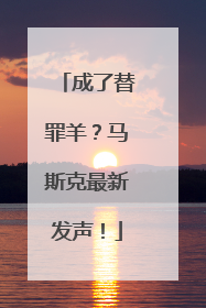 成了替罪羊？马斯克最新发声！