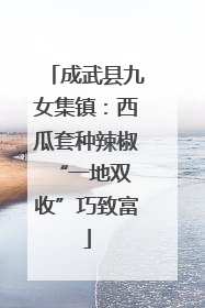 成武县九女集镇：西瓜套种辣椒 “一地双收”巧致富