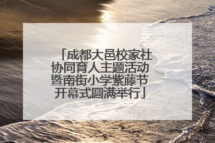 成都大邑校家社协同育人主题活动暨南街小学紫藤节开幕式圆满举行